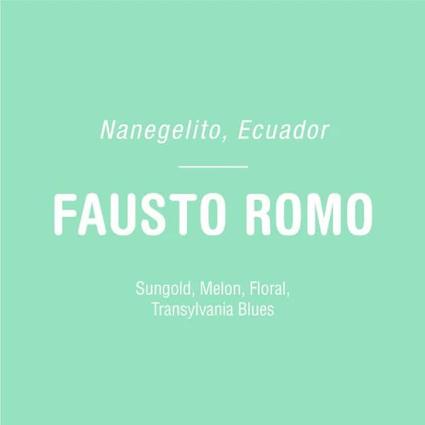 Image of Fausto Romo - Ecuador