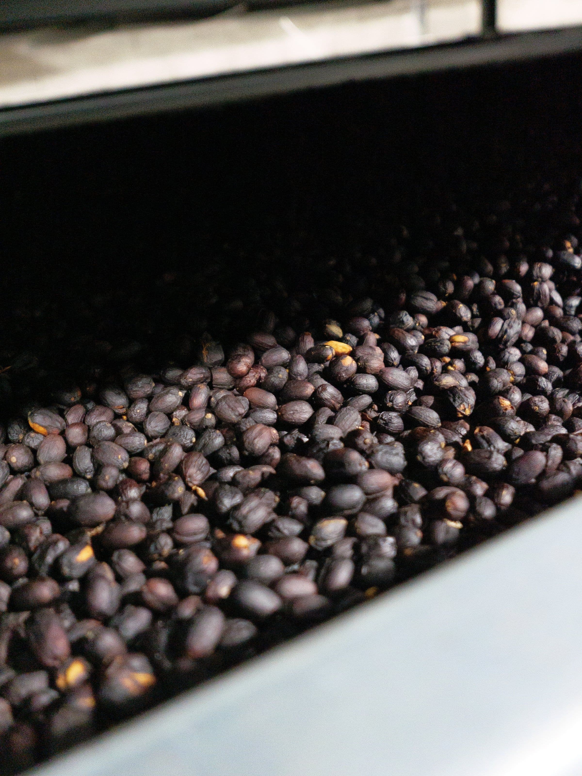 Image of Esmeralda Montana 4NC Special Geisha Natural