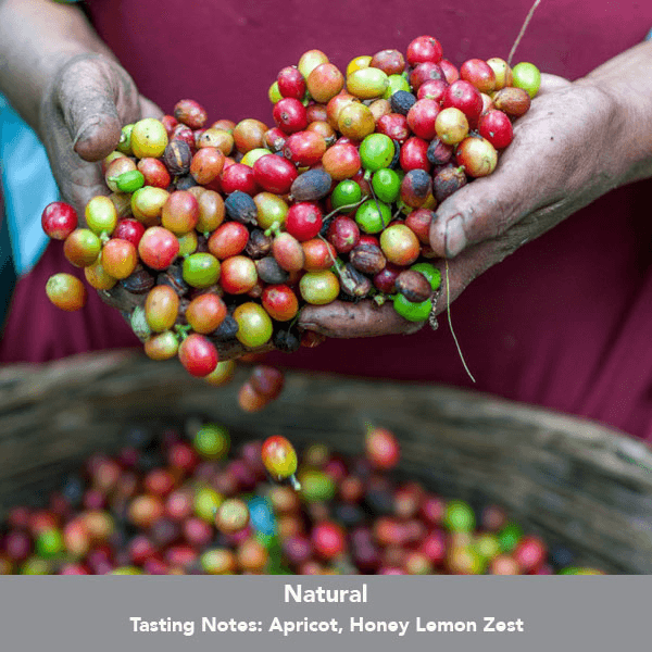 Image of Panama La Huella