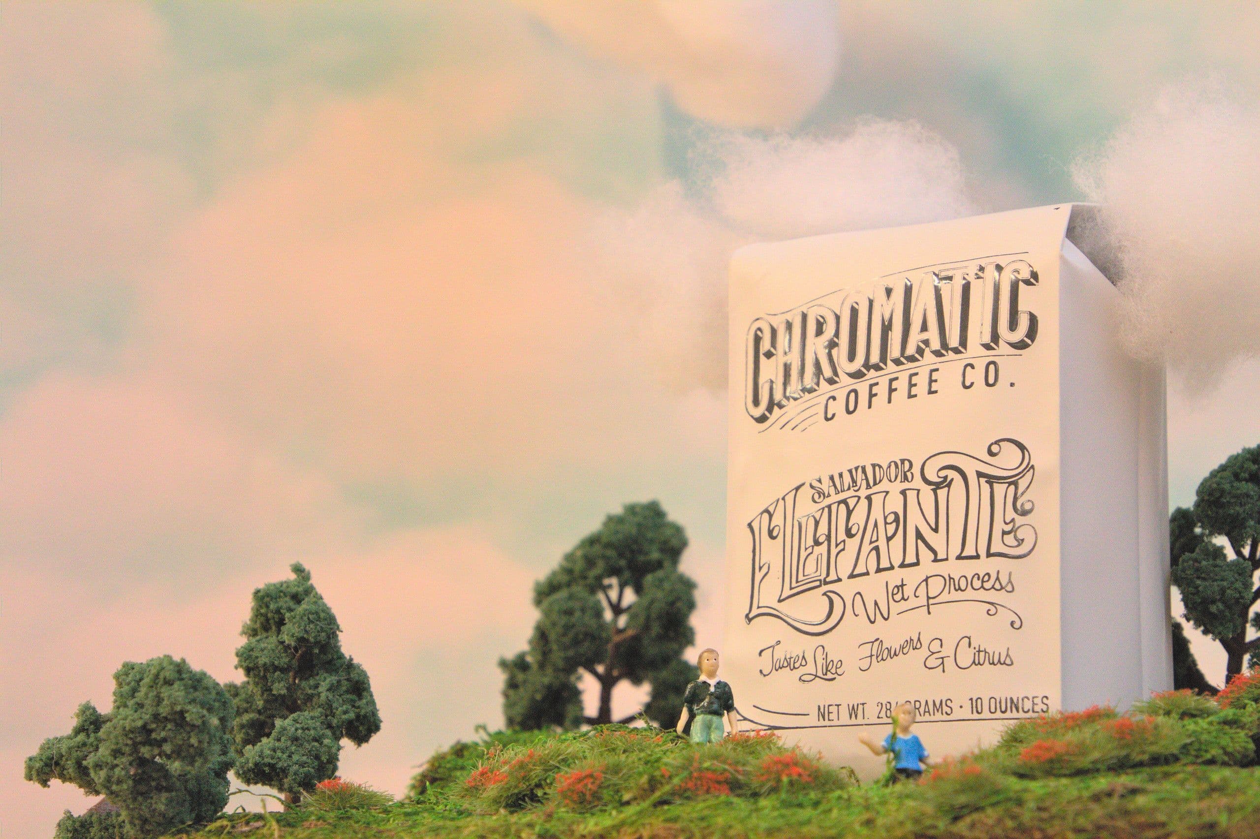 Image of El Salvador - Elefante Wet Process