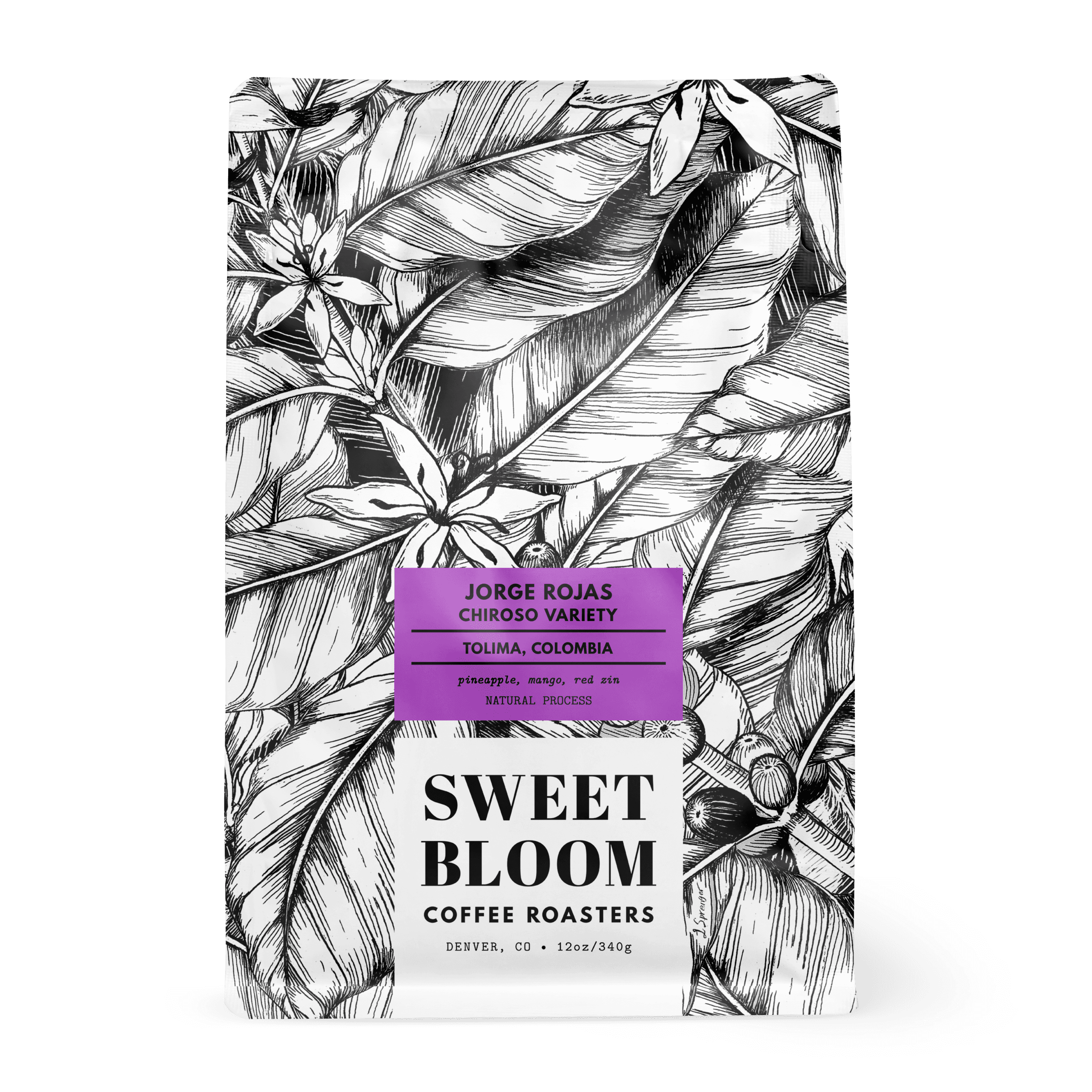 Image of Jorge Rojas