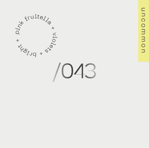 Image of 043 Peru Herlin