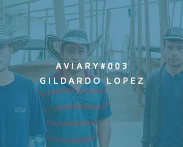 Image of 003 - Gildardo Lopez