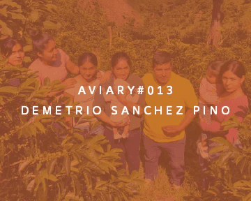 Image of 013 - Demetrio Sanchez Pino