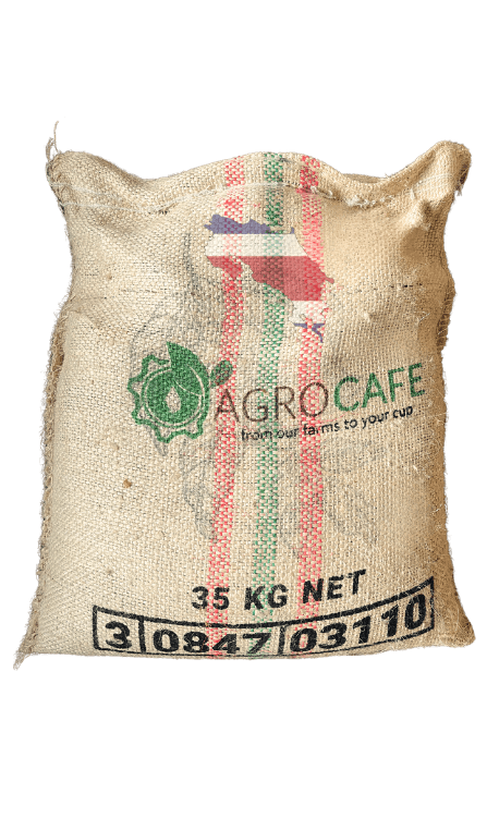 Image of Costa Rica Katoi Green