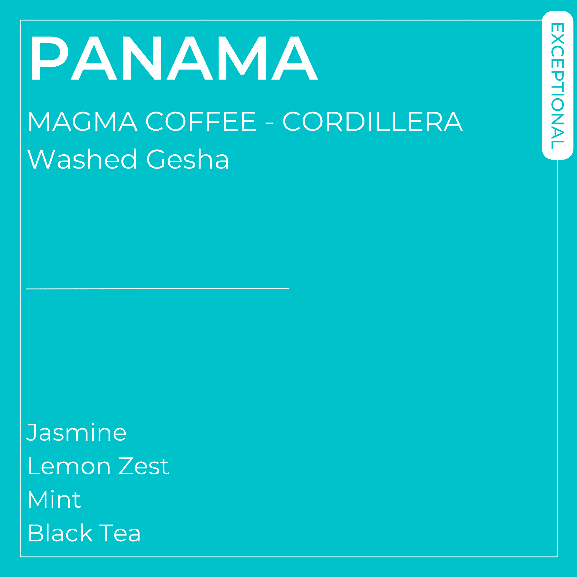 Image of Magma Coffee Washed Gesha