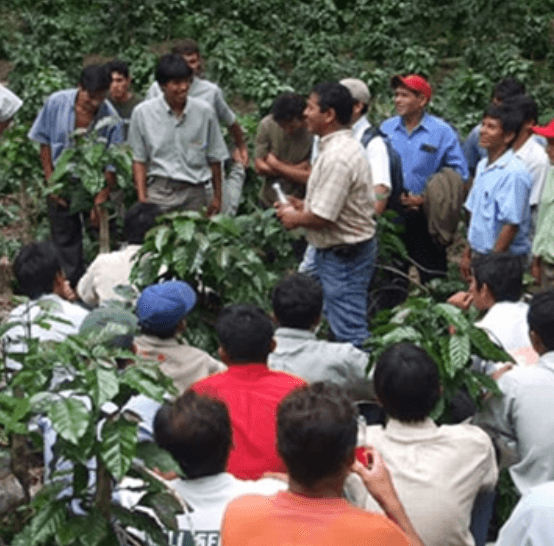 Image of Peru Sol Y Cafe