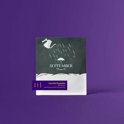 Image of Fazendo Chapadao - Brazil Milk Espresso