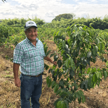 Image of Colombia Santa Monica Ombligon