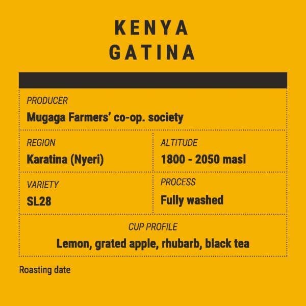 Image of Kenya Gatina