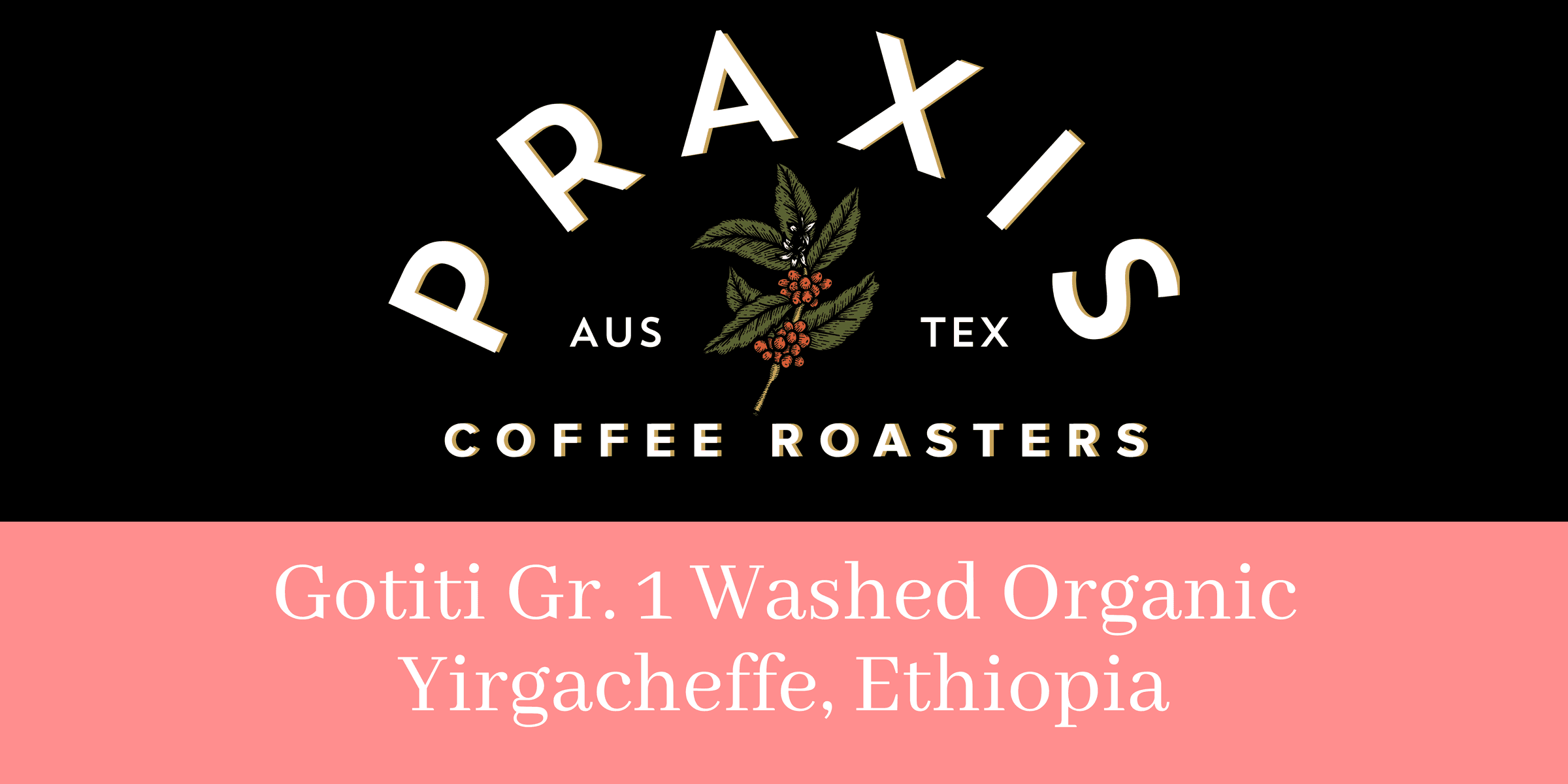 Image of Gotiti Yirgacheffee Ethiopia