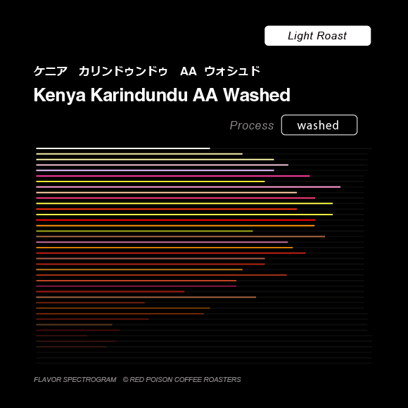 Image of Karindundu AA Washed