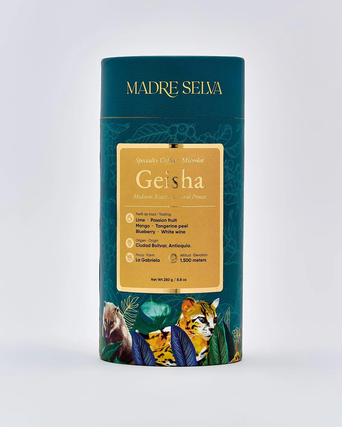 Image of Geisha - Special Edition