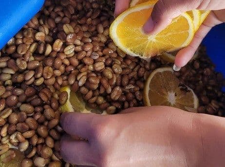 Image of Colombia Castillo Orange Coferment Honey Process