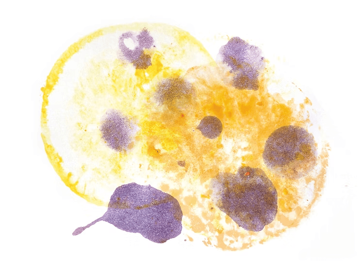 Image of La Senda Pache