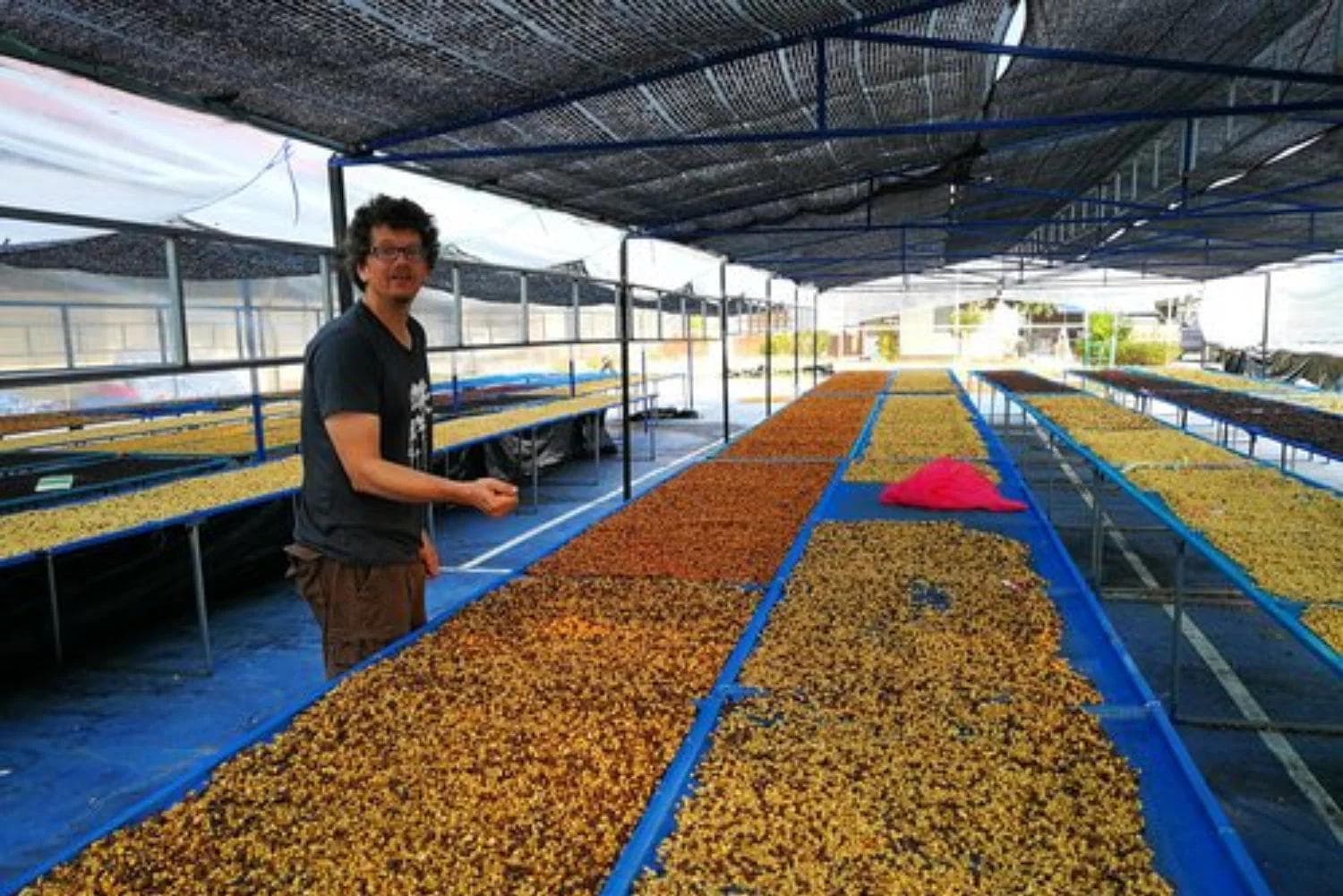 Image of Thailand - Thung Chang - Kaleb Jordan