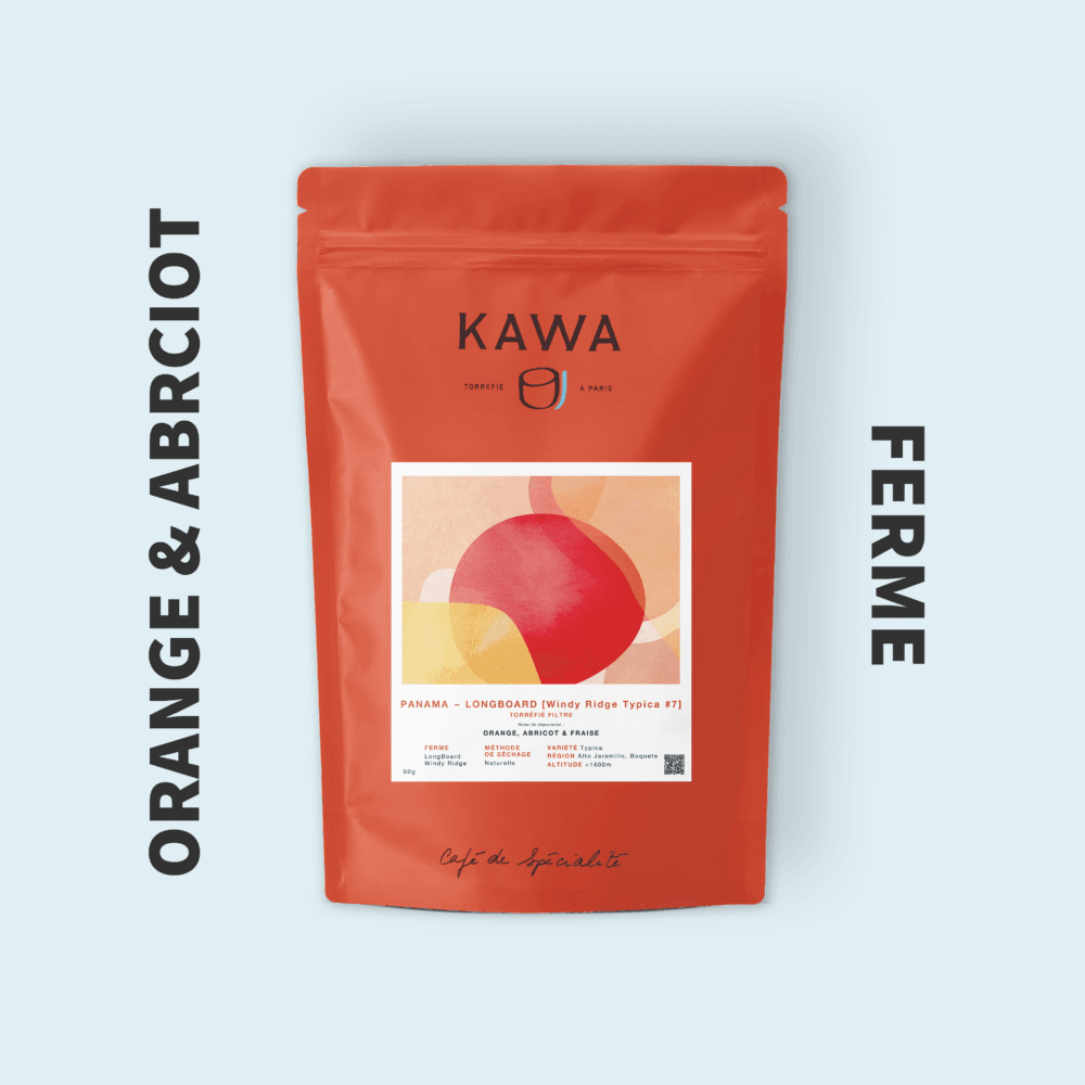 Image of  LongBoard Windy Ridge Typica 7