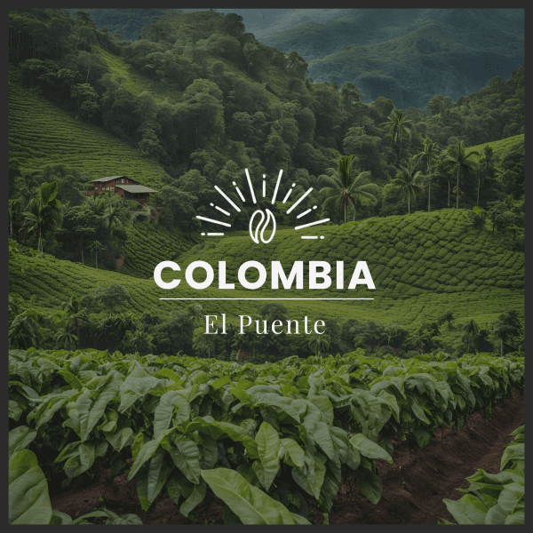 Image of THE BRIDGE – COLOMBIA