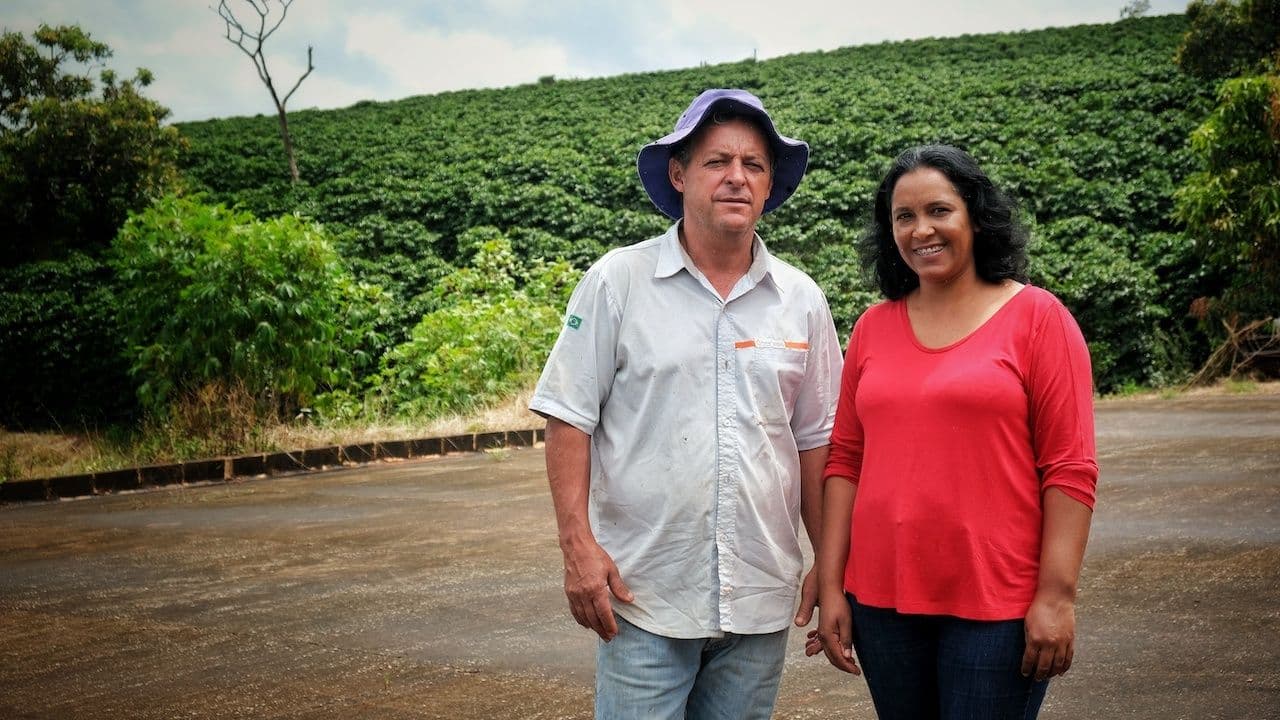Image of Brazil Vista Alegre, PNG Kuyahap & Congo Mapendo - Cold Brew