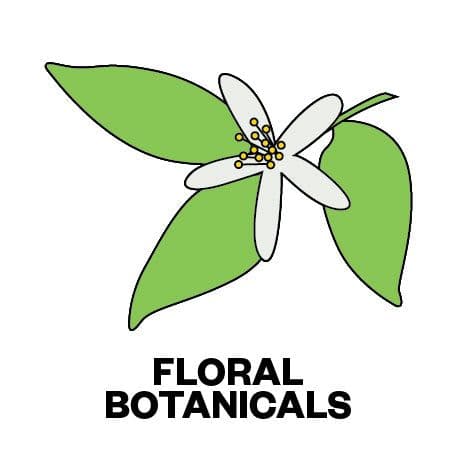 Image of Peru Finca El Morito