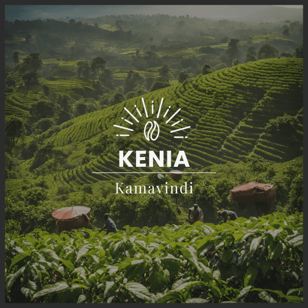 Image of KAMAVINDI – KENYA