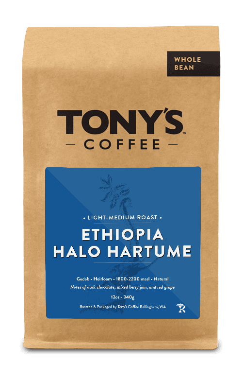 Image of Ethiopia Halo Hartume