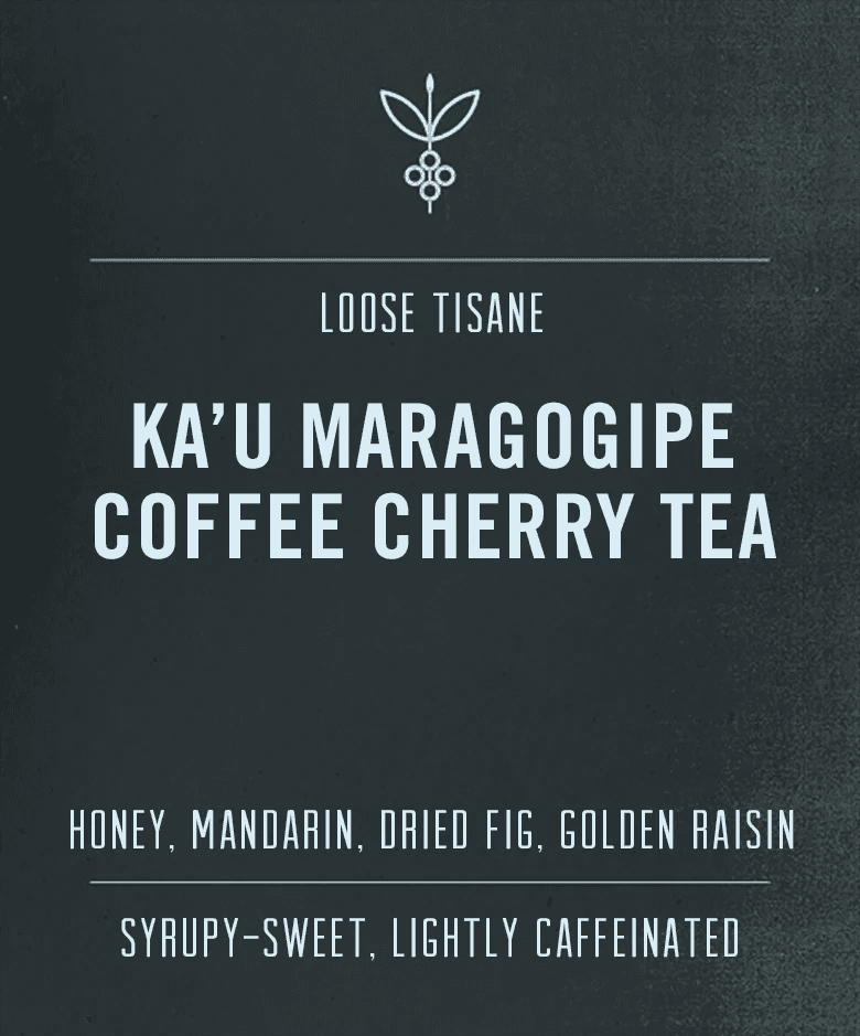 Image of Cascara Coffee Cherry Tea