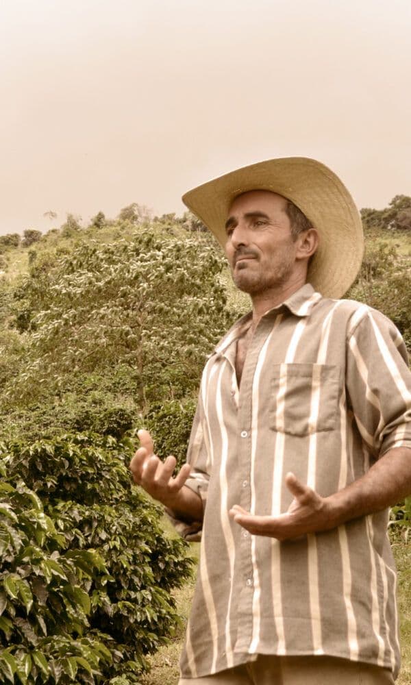 Image of Morada do Sol