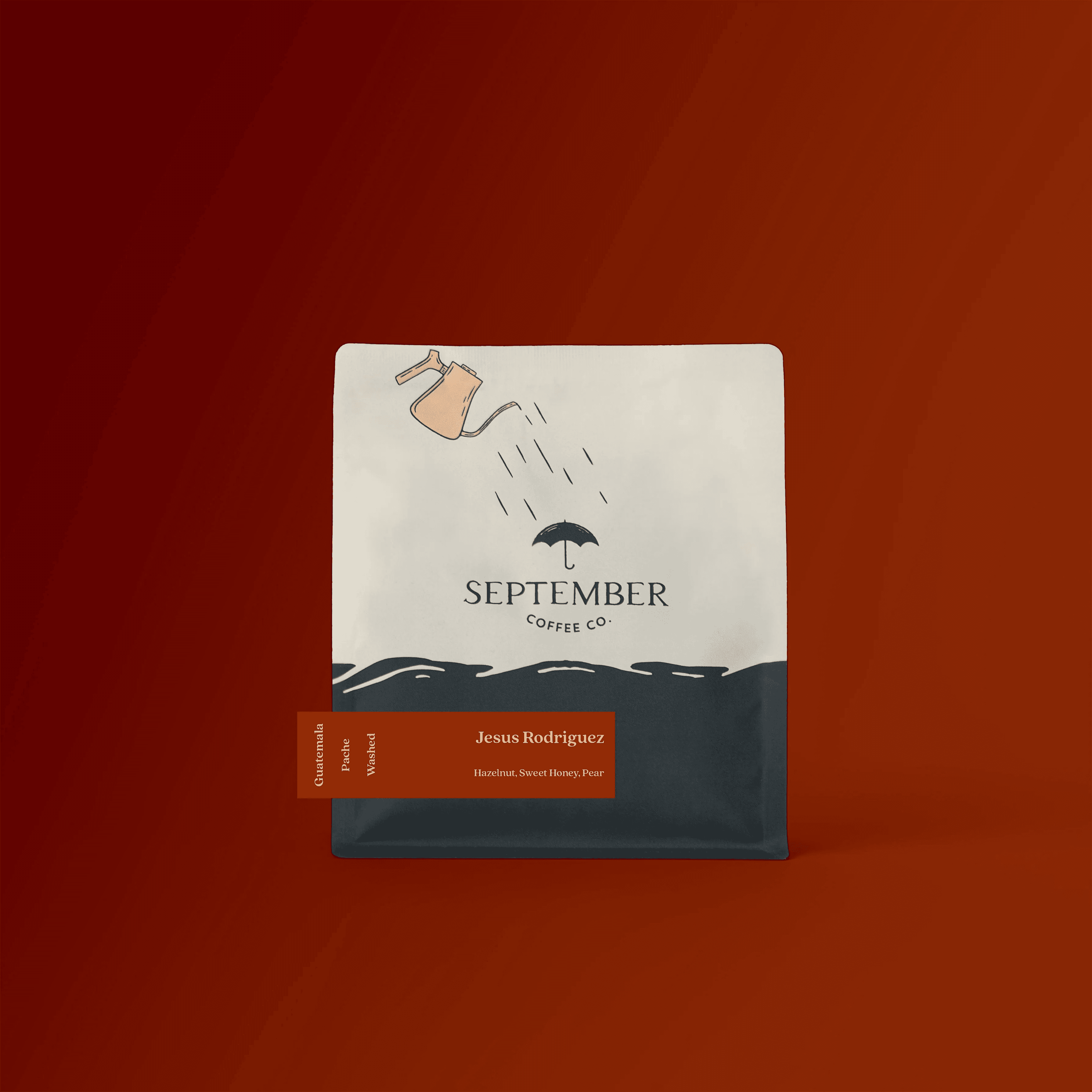 Image of Jesus Rodriguez - Guatemala