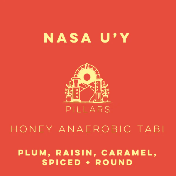 Image of Nasa U Y Honey Anaerobic Tabi - Pillars Series