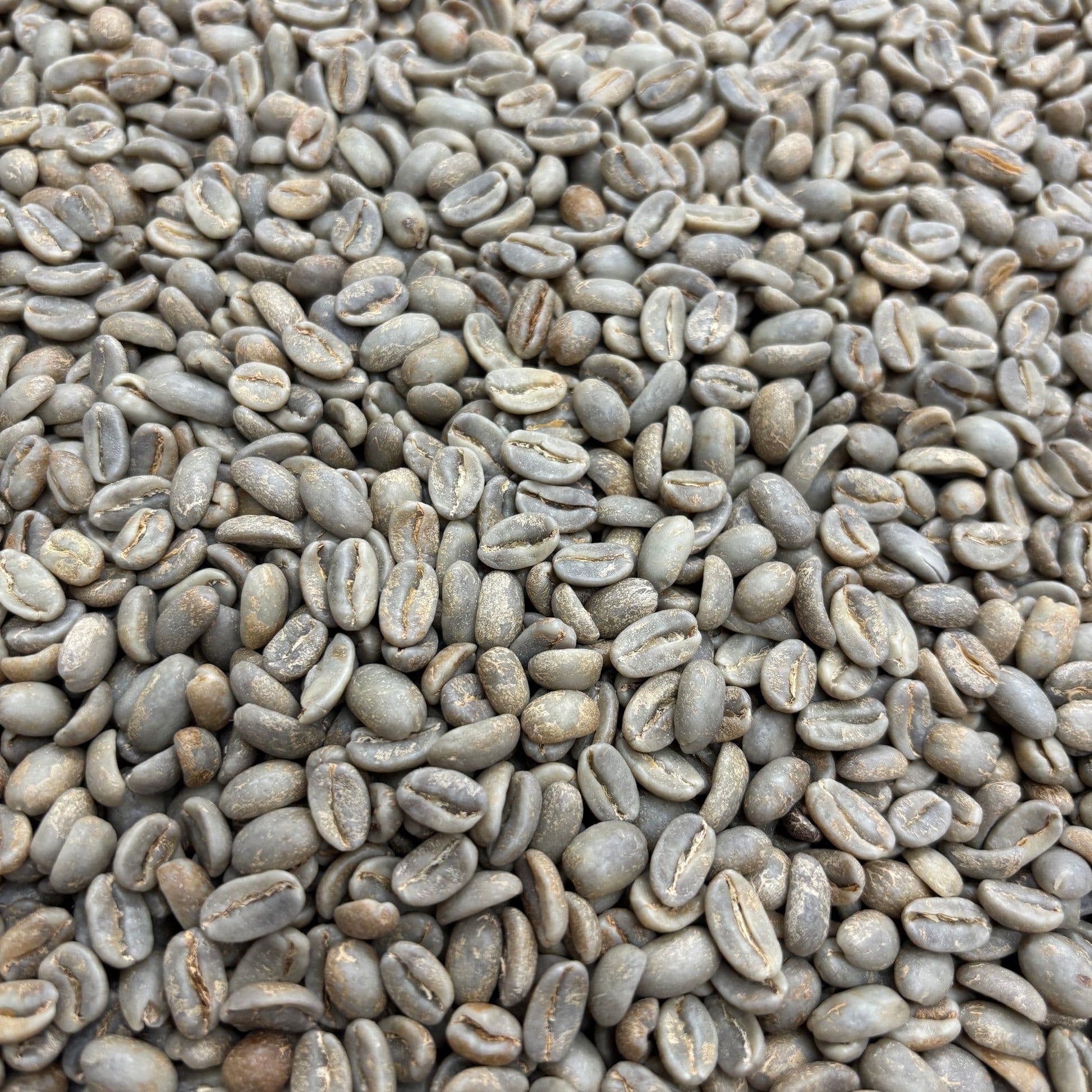 Image of Santa Teresa Coe 7 Geisha - Costa Rica Washed - Green