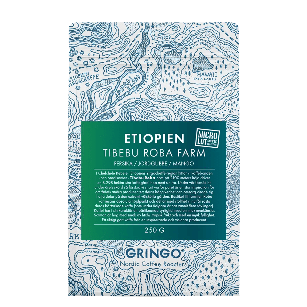 Image of Ethiopia Tibebu Roba