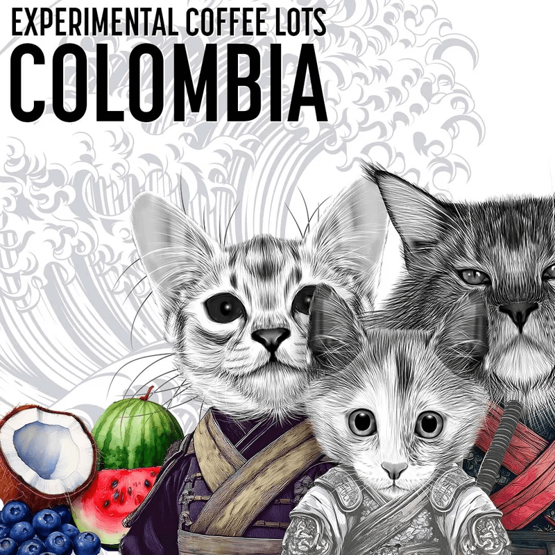 Image of Finca Monteblanco