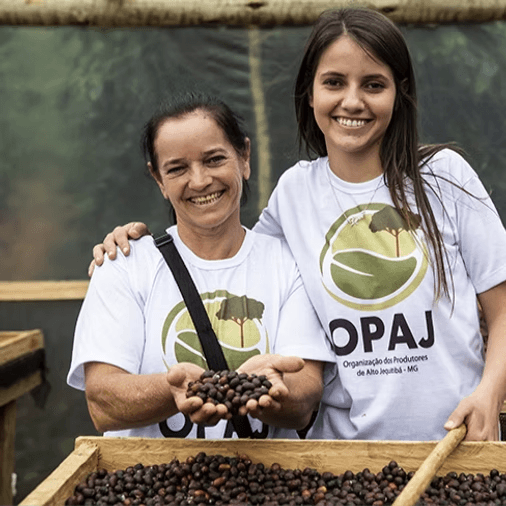 Image of Mulheres do Caparaó
