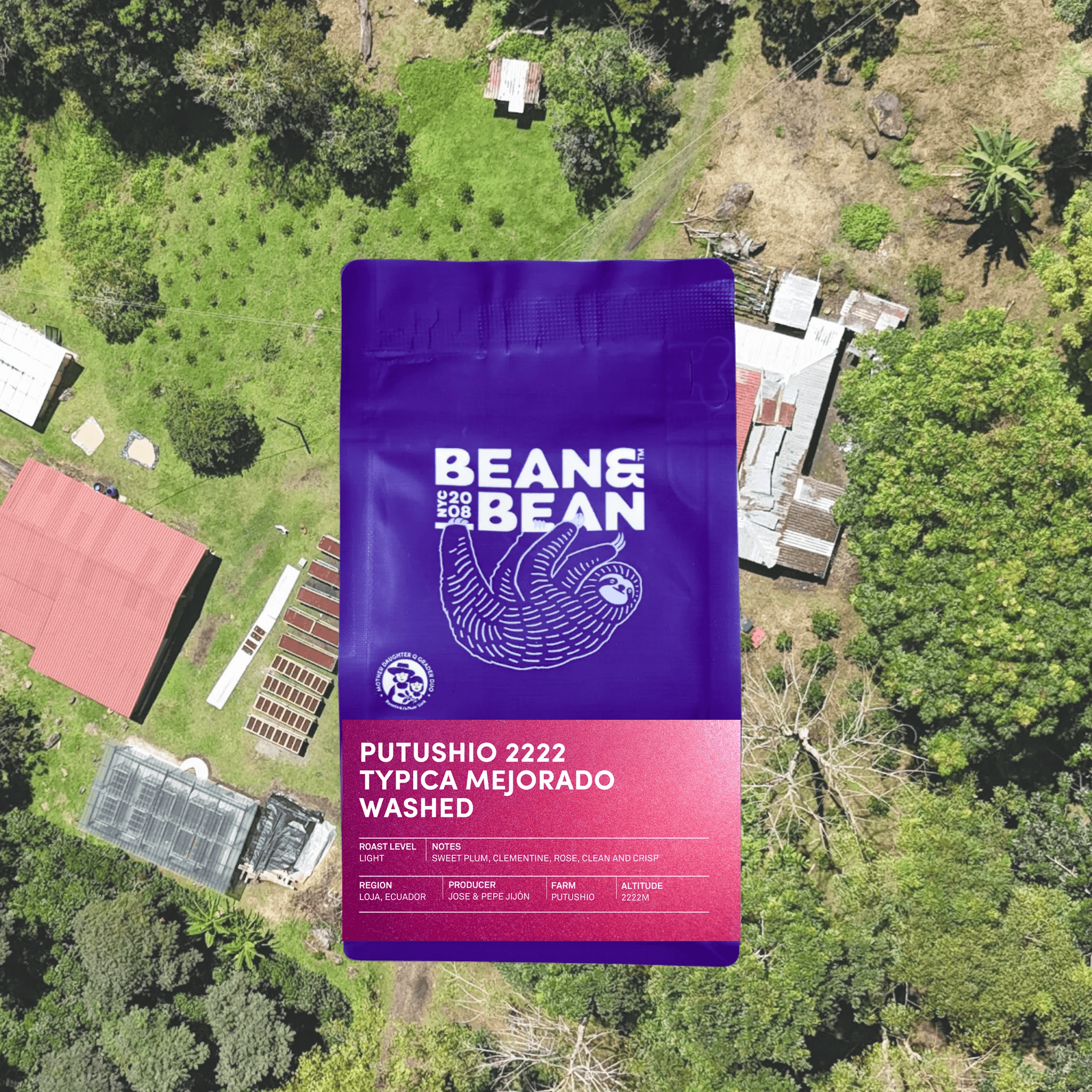 Image of Ecuador Putushio Typica Mejorado Washed