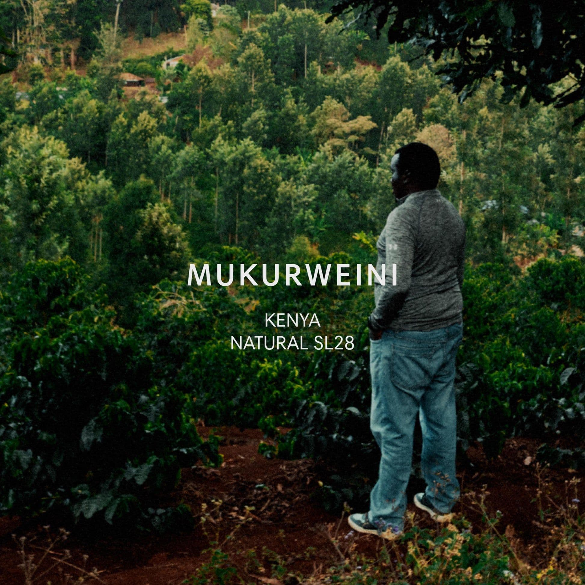 Image of Mukurweini