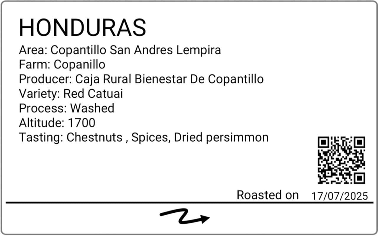 Image of Honduras Copantillo Washed