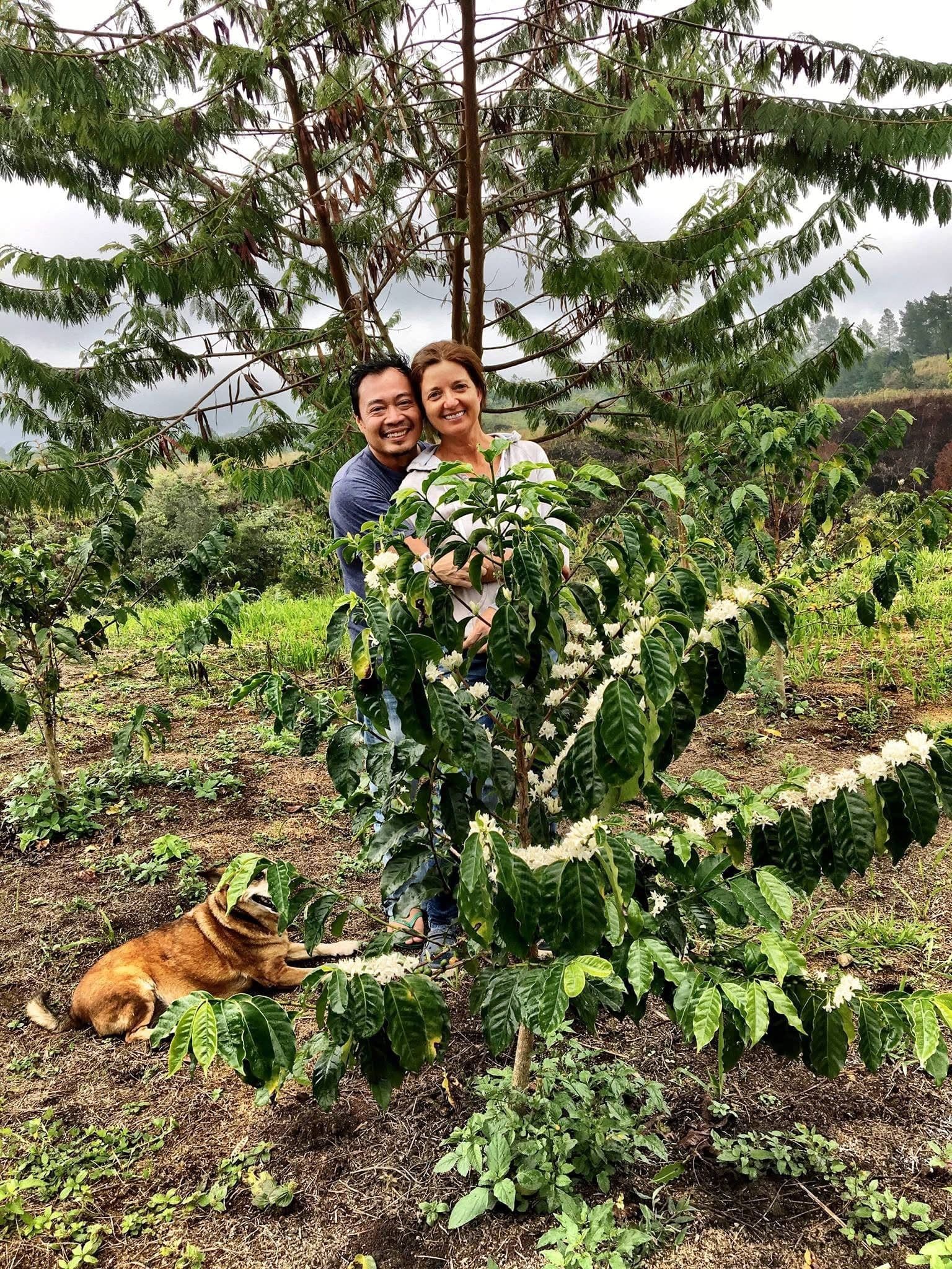 Image of Sumatra Abyssinia Wet-hulled Light Roast