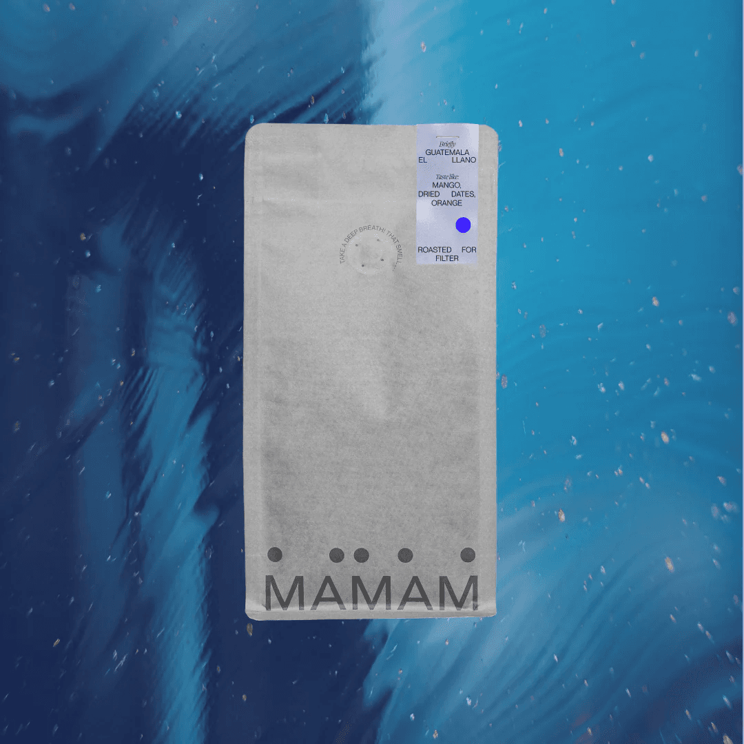 Image of Guatemala El Llano - Filter