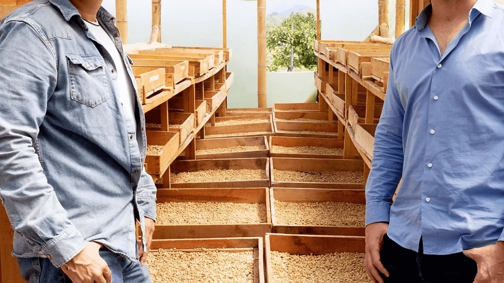 Image of Summer gesha