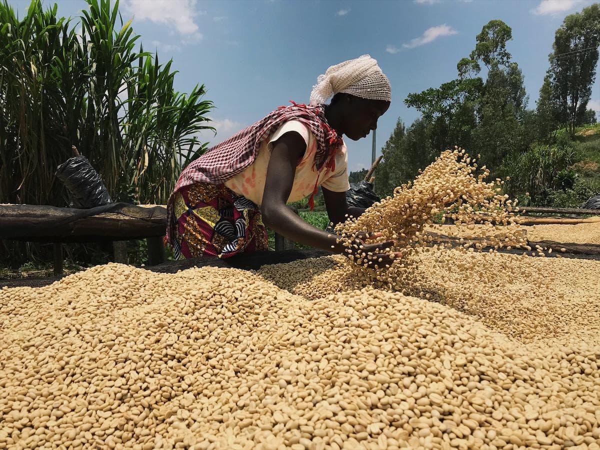 Image of Rwanda Muhondo