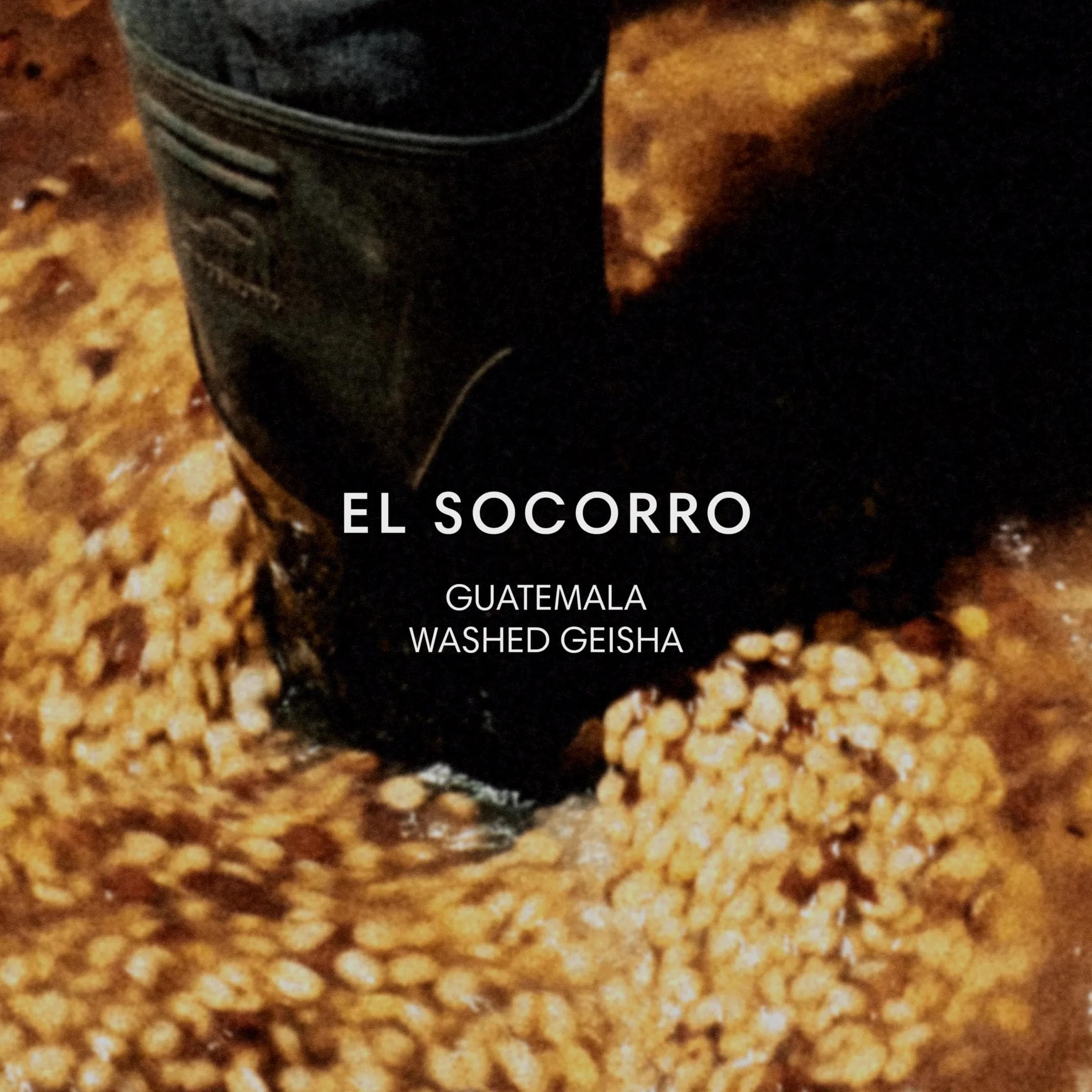 Image of El Socorro Geis