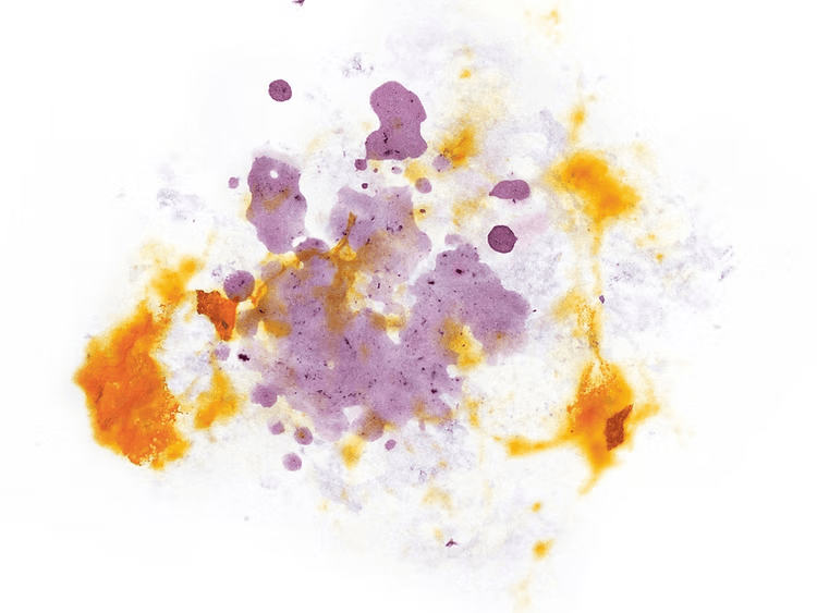 Image of Ecuador Cruz Loma Geisha