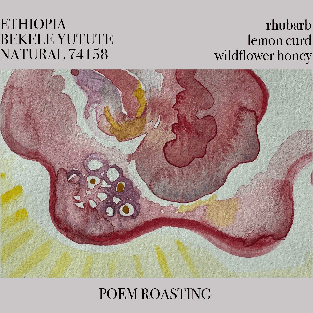 Image of Ethiopia Bekele Yutute Natural