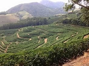 Image of Brazil Fazenda Vila Mariana Natural