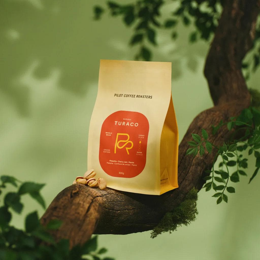 Image of Turaco - Burundi