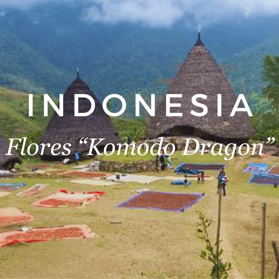 Image of Indonesia Flora Komodo Dragon