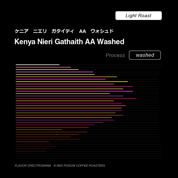 Image of Nieri Gathaith AA Washed