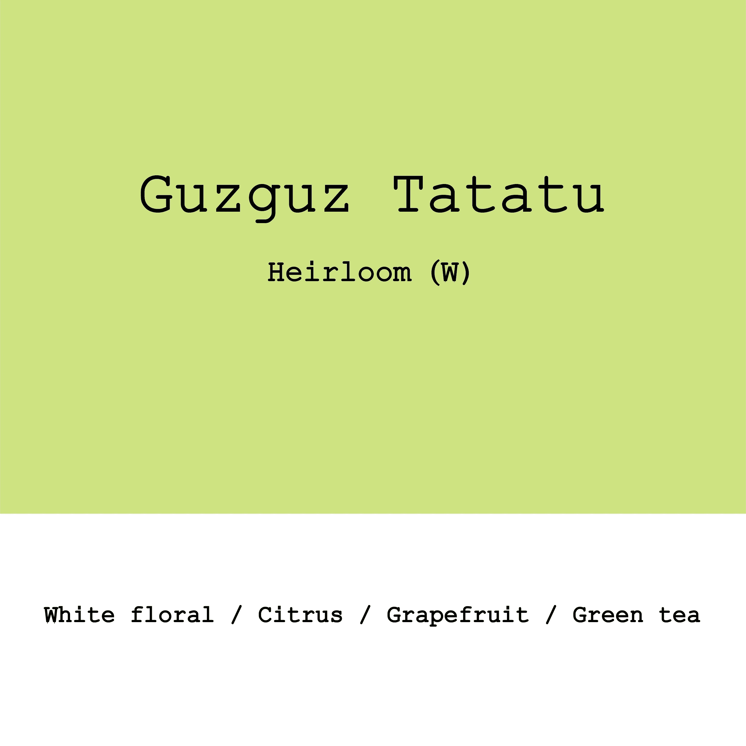 Image of New Crop Ethiopia Guzguz Tatatu Heirloom G1 Washed