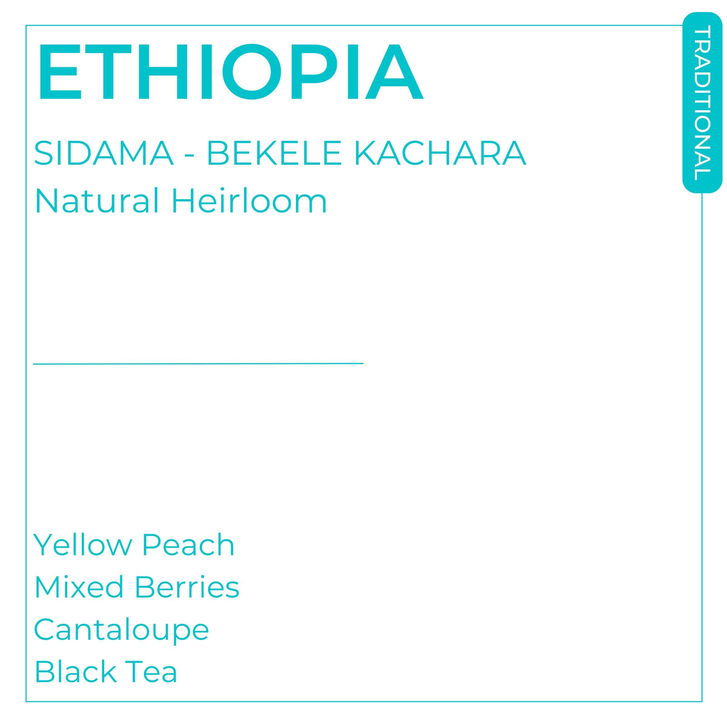 Image of Ethiopia - Sidama - Bekele Kachara - Natural Heirloom